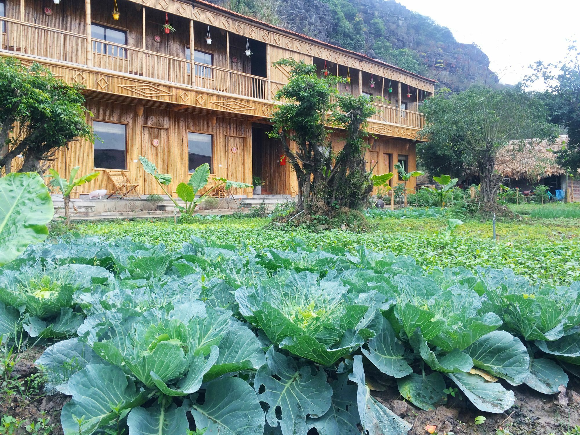 Ham Rong Homestay Ninh Binh Exterior photo