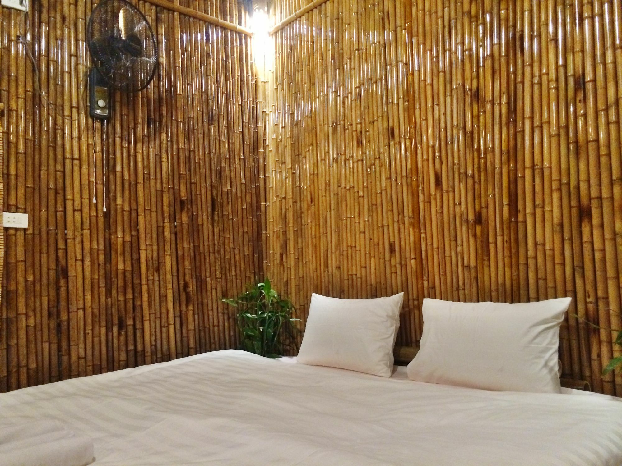 Ham Rong Homestay Ninh Binh Exterior photo